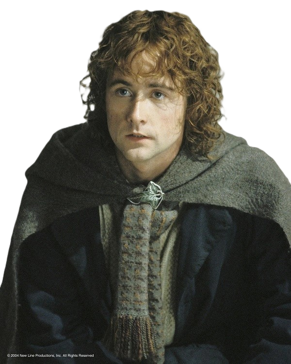 Peregrin Took